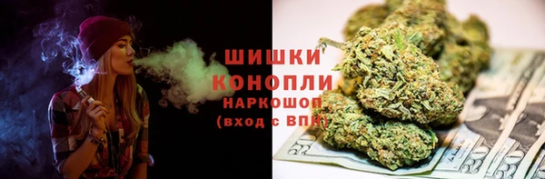 шишки Верея