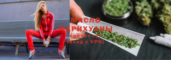 шишки Верея