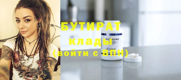 шишки Верея