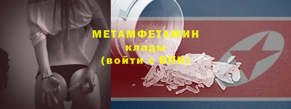 шишки Верея