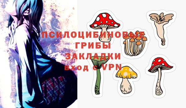 твердый Бронницы