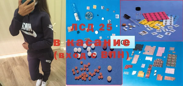 шишки Верея