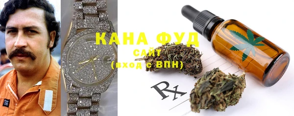 спиды Вяземский
