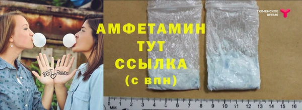 шишки Верея